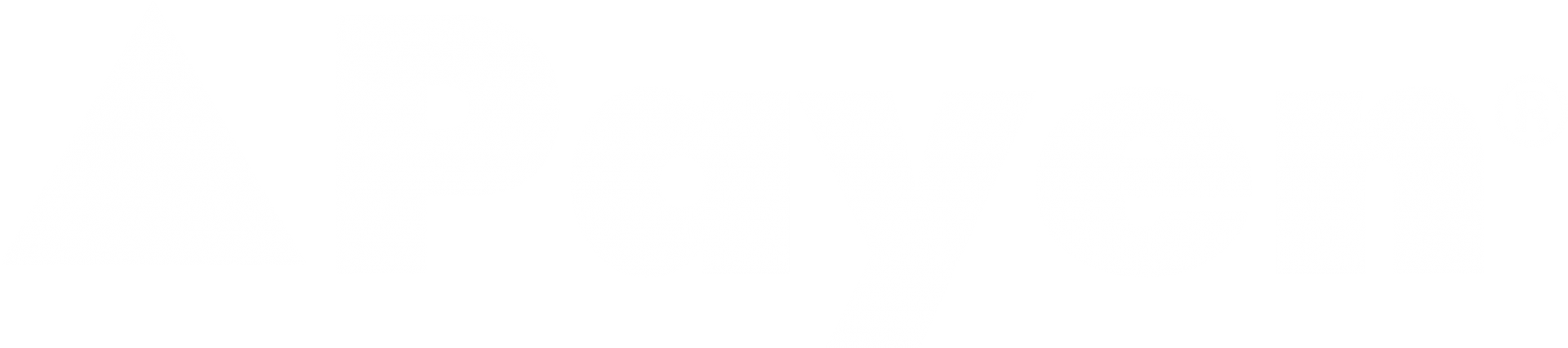 payen-logo-transparent